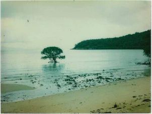 Orpheus Island in March 1978